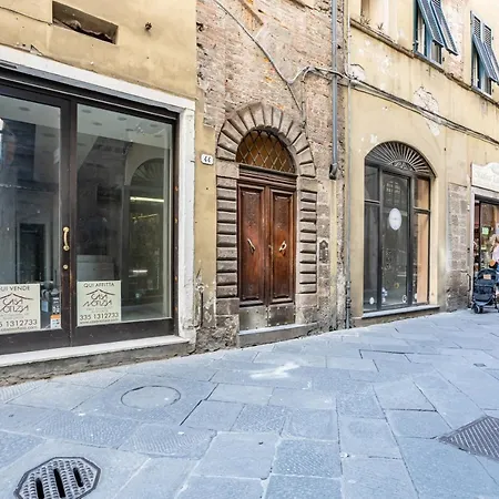 & Modern Apt W/ Netflix-amazon Prime Apartment Lucca